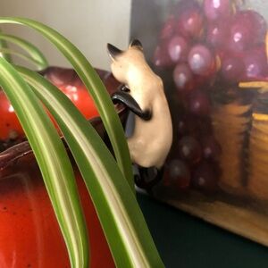 Vintage Climbing Siamese Cat